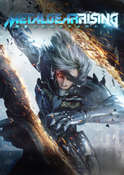 Metal Gear Rising: Revengeance Category Extensions
