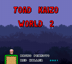 Toad Kaizo World 2