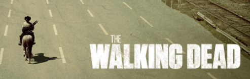 Cover Image for The Walking Dead Series Series
