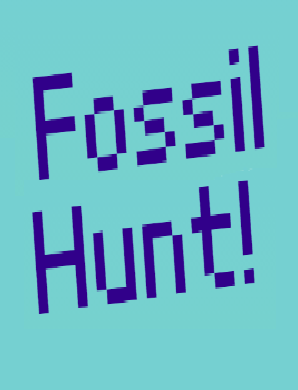 Fossil Hunt