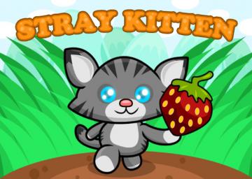 Stray Kitten