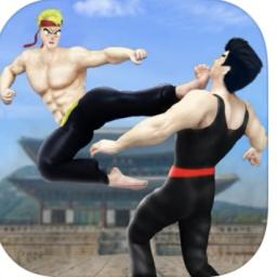 Kung Fu Legends Shadow Fighter