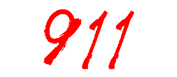 Cover Image for 911 Series